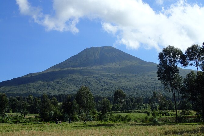 2 Days Gorilla & Golden Monkey Trekking Safaris - The gorilla trek and the permit cost