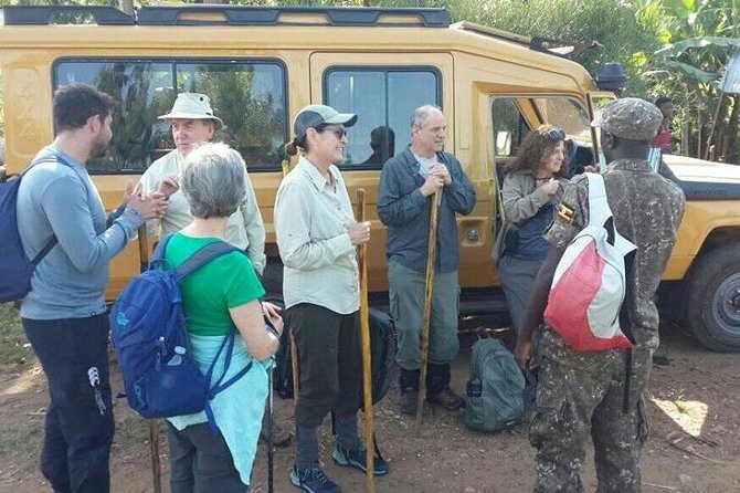 2 Days Gorilla Trekking Uganda - Choosing between Bwindi and Mgahinga