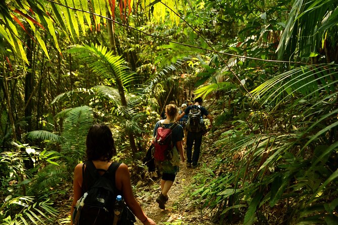 2 Days Multi Adventure in Nam Ha NPA: Trek and Kayak - A Khmu night with food, stories, and village time