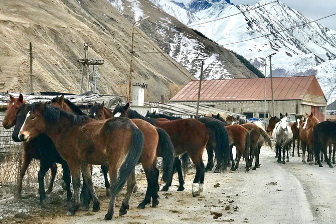 2 Days Private Tour to Kazbegi and Juta Village with Trekking - Zhinvali Reservoir brings a sudden change of scenery