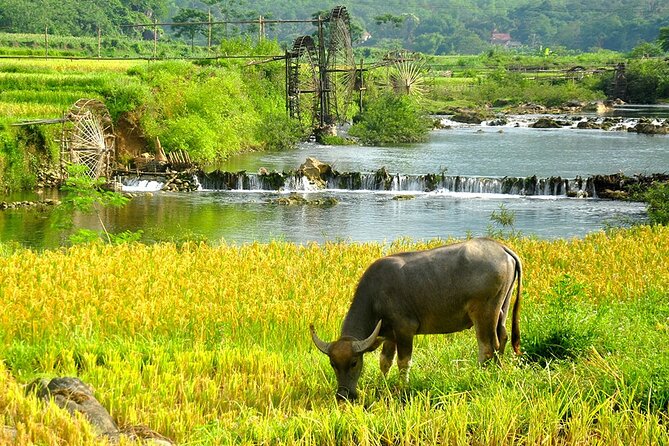 2 Days Pu Luong Offbeat Trekking Best for Mountain Lovers - Why Pu Luong works well for an active two-day escape