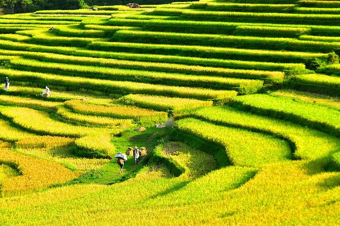 2 Days Pu Luong Offbeat Trekking Best for Mountain Lovers - What $139 includes, and where extra costs appear