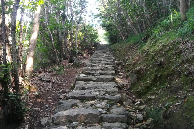2 Days Trekking - Il Sentiero del Viandante: from Varenna to Colico - Why This Two-Day Walk Is Different