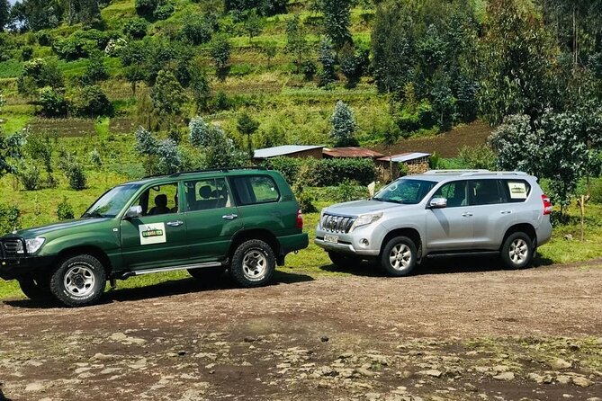 2 days Uganda Gorilla trekking - What the Private Format Adds