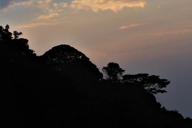 2 days Uganda Gorilla trekking - Crossing Toward Bwindi and the Uganda Trek