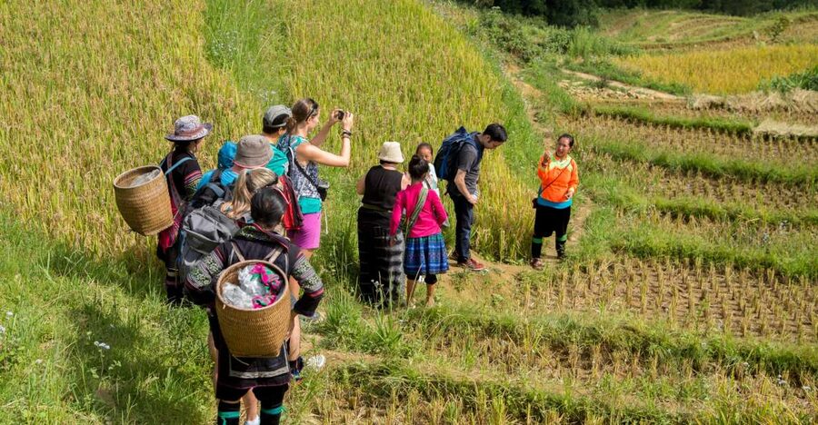 2 Night Lao Chai-Ta Van Homestay- Trekking & Fansipan Visit - Day 3: Giang Ta Chai, bamboo forest, or a Fansipan cable car
