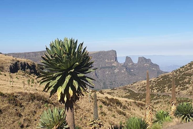 2 Nights 3 Days Trek to Semien Mountain - Food, guides, and the practical setup