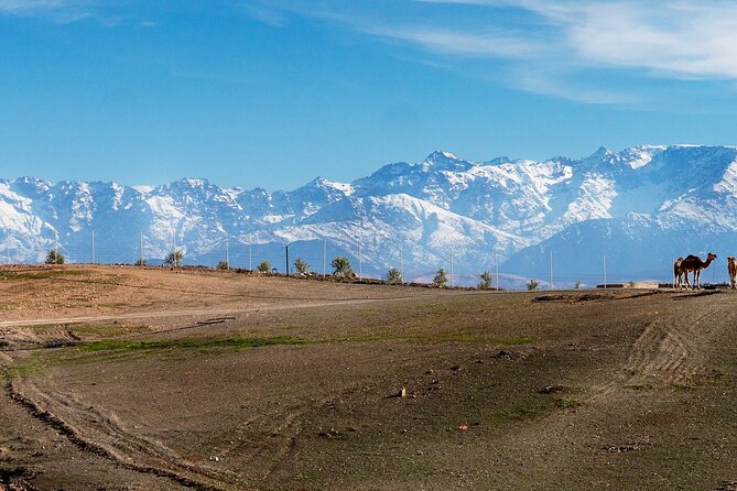 2 Two Days Mount Toubkal Trek from and back to Marrakesh - Is $135.43 a fair price?
