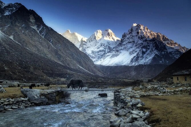 20 Days Private Kanchenjunga Circuit Trek - Days 17 to 20: Torongding, Yamphudin, Fikal, and Kathmandu