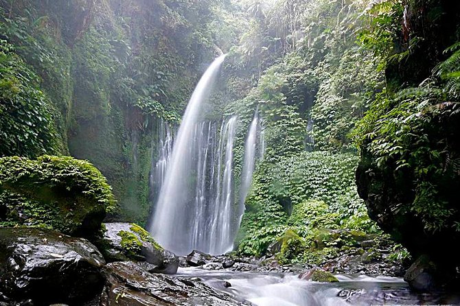 2D-1N Hiking Rinjani To Rim Senaru - Dewa Trekking - The guide and porter service