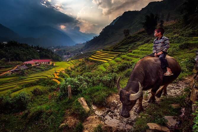 2D1N Buffalo trek by Hmong Sister House and Trekking - Why this Sapa trek feels different
