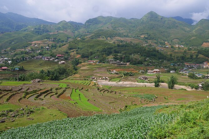 2D1N Buffalo trek by Hmong Sister House and Trekking - Day 2: Sunrise, rice fields, Red Dao culture, and a waterfall