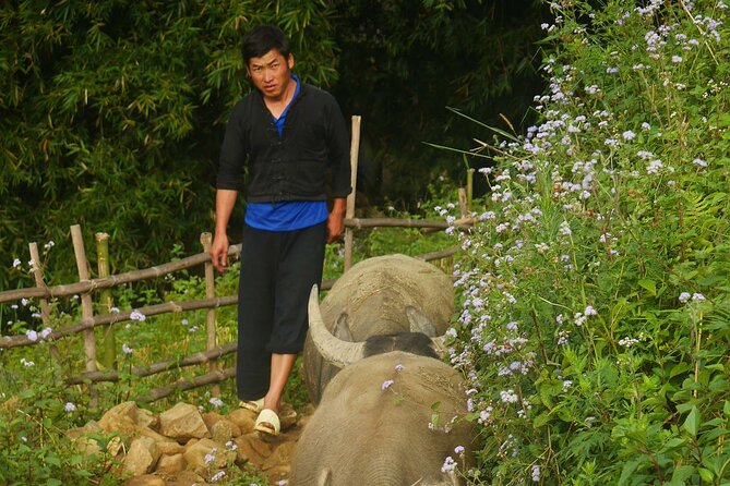 2D1N Buffalo trek by Hmong Sister House and Trekking - What the $110 price includes in real value