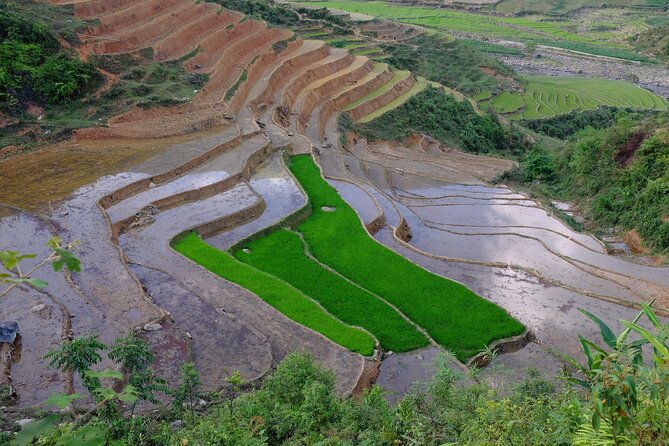 2D1N Buffalo trek by Hmong Sister House and Trekking - The early start at Zizi’s homestay