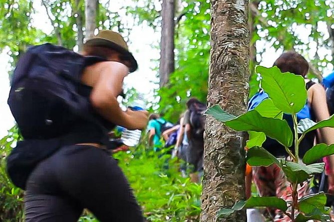 2D1N Mae Wang National Park Jungle Trekking Adventure from Chiang Mai - Day two: breakfast, waterfall time, and the walk out