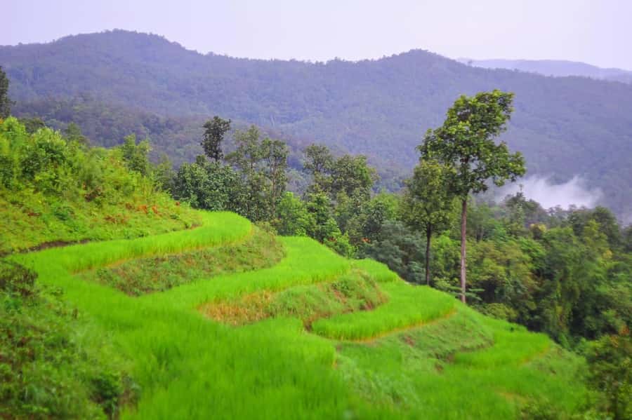 2days 1night : Trekking with Karen people and Doi Inthanon - Key points before you book