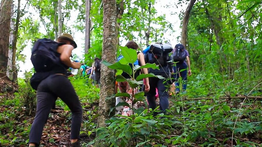 2days 1night : Trekking with Karen people and Doi Inthanon - Pagodas, gardens, and Wachirathan Waterfall