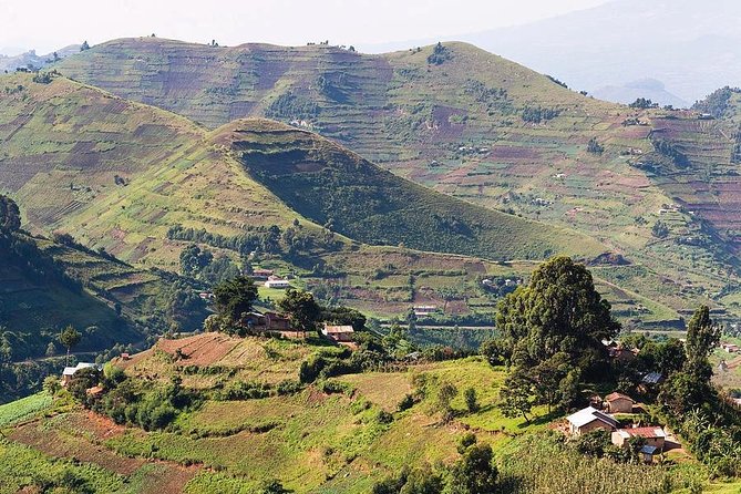 2days Bwindi NP gorilla trekking - Who should choose this trip?