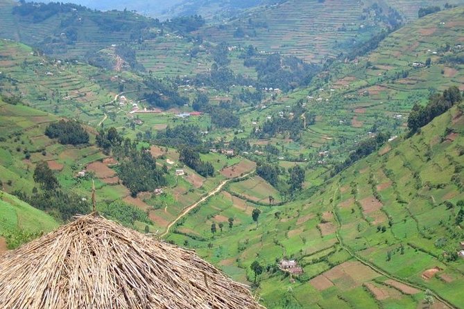 2days Bwindi NP gorilla trekking - FAQ