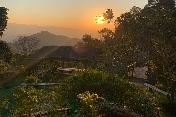 3-Day Chiang Dao Mountain Trek - Homestays, meals, and the value of local contact