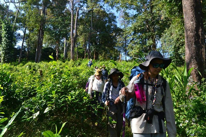 3-Day Chiang Dao Mountain Trek - What to pack and how to prepare