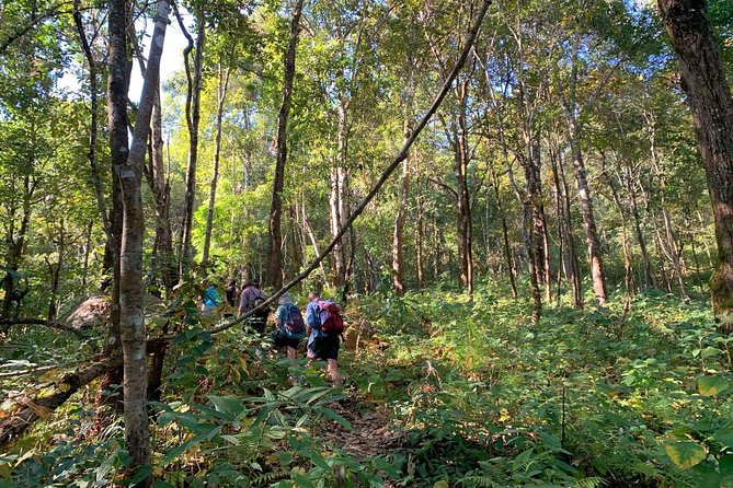 3-Day Chiang Dao Mountain Trek - The guides make or break the experience