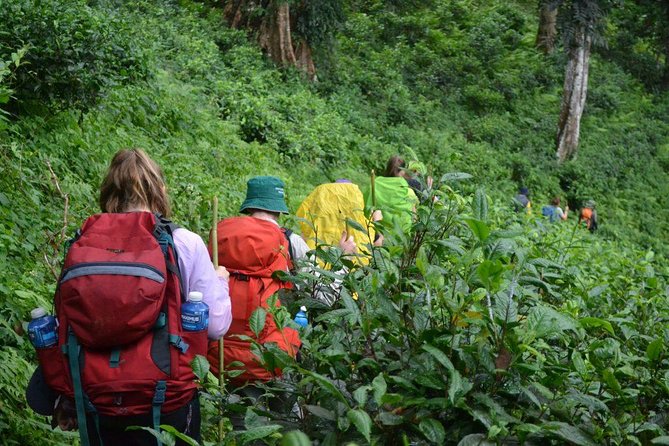 3-Day Chiang Dao Mountain Trek - Day two: the hardest hiking and the best views