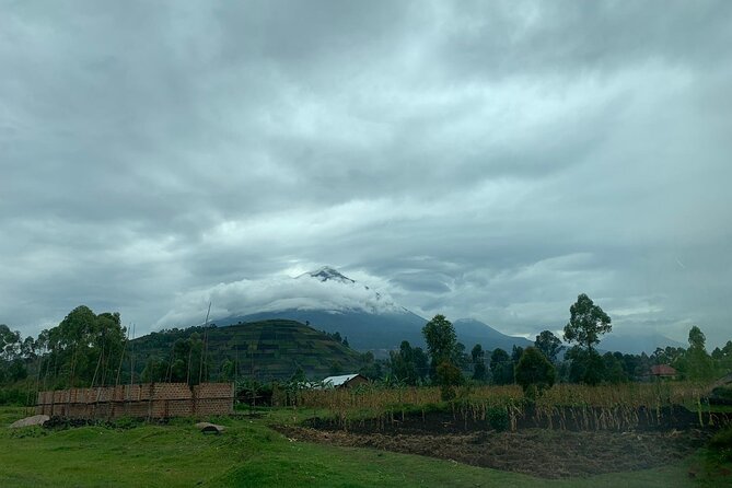 3 Day Gorilla Trek at Bwindi National Park via Kigali - Who will enjoy this three-day format?