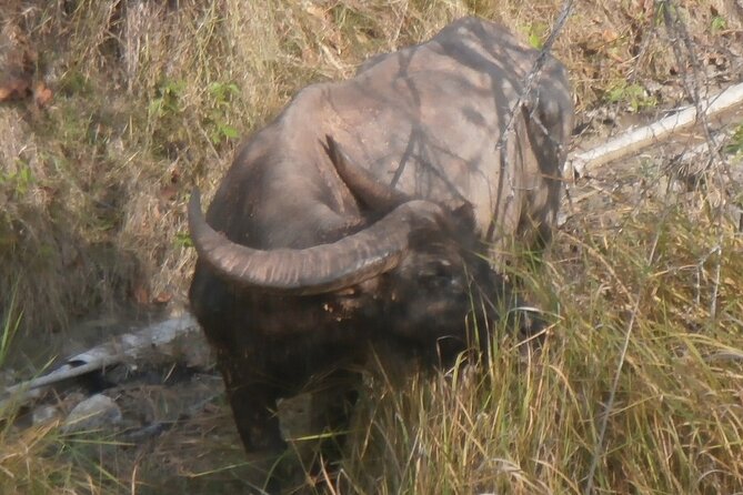 3-Day Komodo National Park Tour: Komodo Island and Rinca Island Trek - Day 3: Batu Cermin Cave and Labuan Bajo market