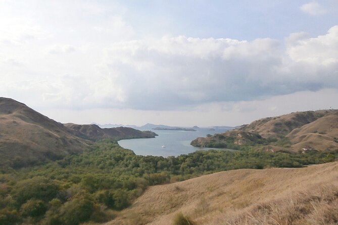 3-Day Komodo National Park Tour: Komodo Island and Rinca Island Trek - Guide quality and the value of private help