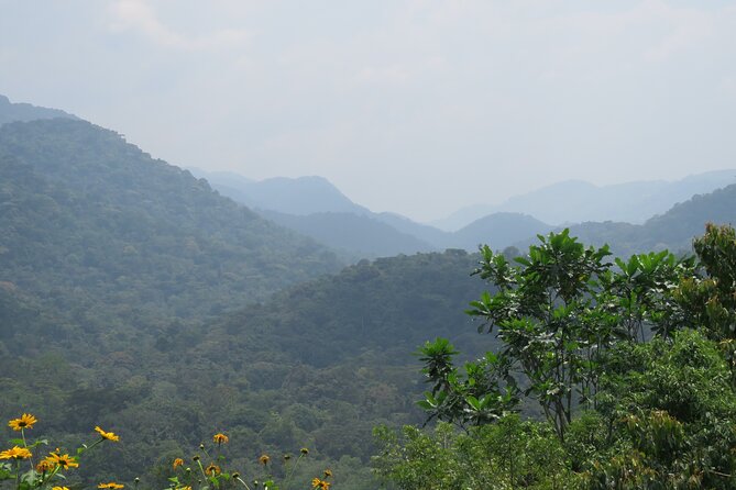 3 -Day Private Gorilla Trekking Safari in Bwindi Forest - Day three: the Equator and the return to Entebbe