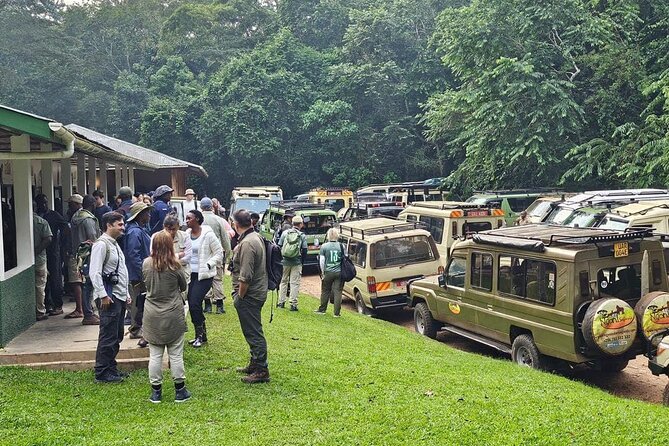 3-Day Private Guided Gorilla Trekking In Uganda - Day Two: a 7:30 a.m. briefing and the gorilla trek