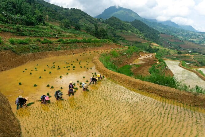 3-Day Pu Luong Natural Reserve from Hanoi, Trek with Local Guide - Who should choose this Pu Luong trip?