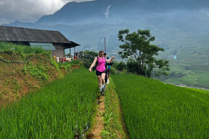 3-Day Trek in Amazing Muong Hoa Valley & ethnic Homestay - Day 3: Sunrise in Ban Ho and Nam Tong