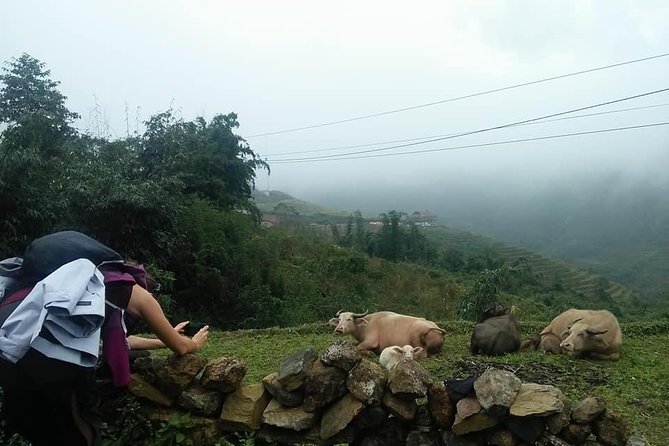3-Day Trek in Amazing Muong Hoa Valley & ethnic Homestay - What to pack and what to confirm