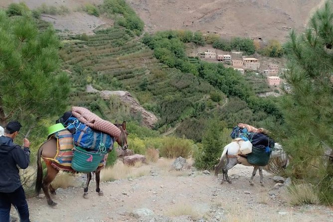 3 Day Trek in the Atlas Mountains and Berber Villages from Marrakech - Day two: Ikkis, Aguersiwal, Matat, and Ait Aissa