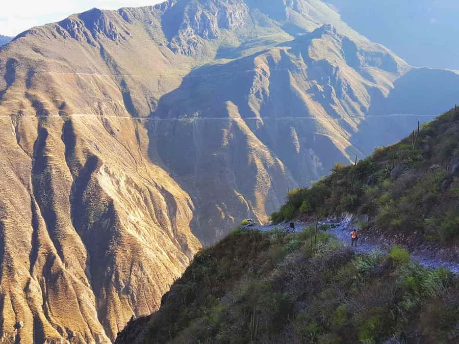 3-day trek to the Colca Canyon from Arequipa ending in Puno - Key points at a glance