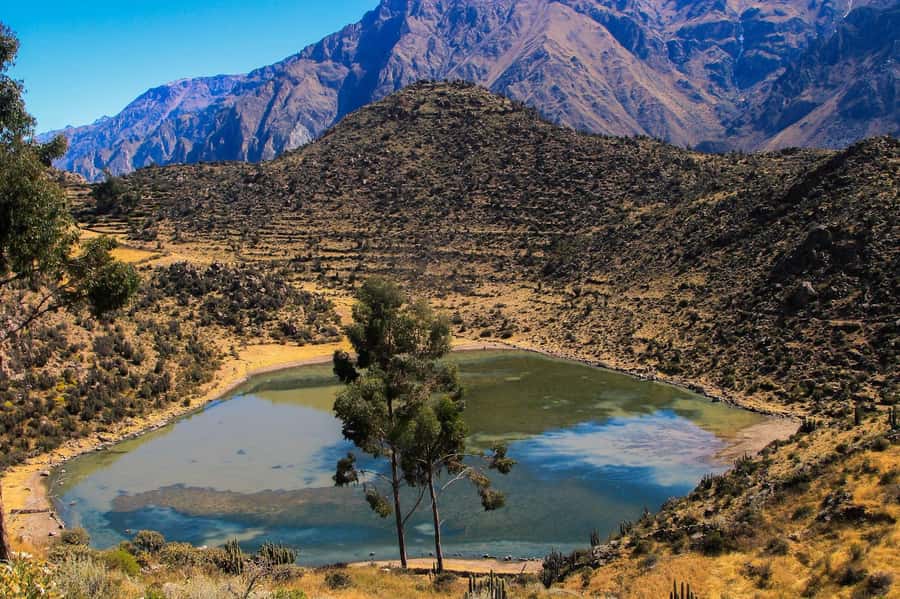 3-day trek to the Colca Canyon from Arequipa ending in Puno - From Cabanaconde down to San Juan de Chuccho