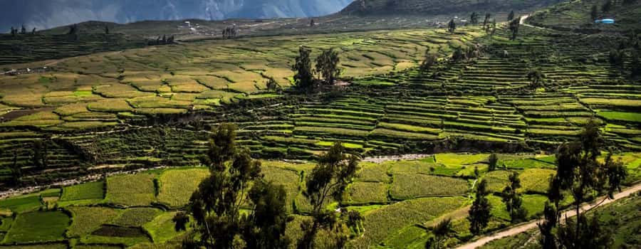 3-day trek to the Colca Canyon from Arequipa ending in Puno - The 5:00 a.m. climb from Sangalle