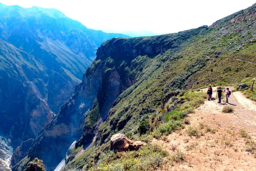 3-day trek to the Colca Canyon from Arequipa ending in Puno - What the $175 price really includes
