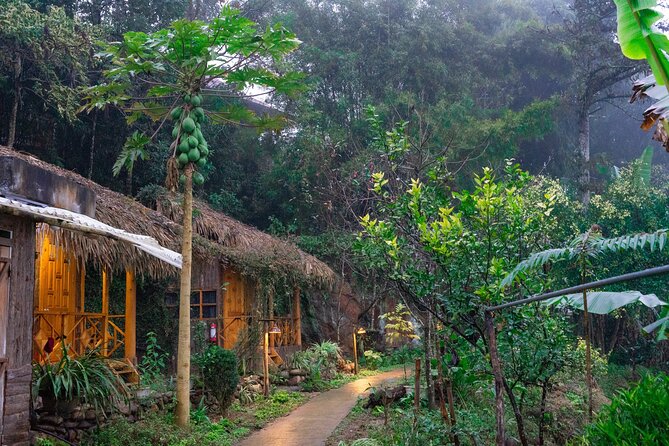 3-Day Trekking Adventure of Sapa from Hanoi - Stay Ta Van Village - Hanoi to Sapa: A Long First Morning