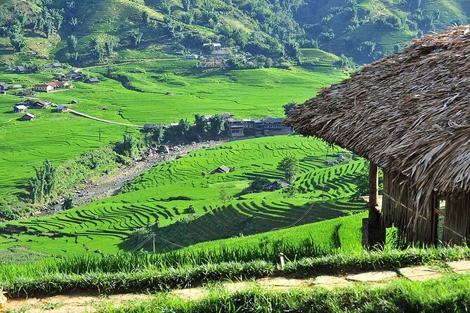 3-Day Trekking Adventure of Sapa from Hanoi - Stay Ta Van Village - Day Two: Bamboo Forests and Giang Ta Chai
