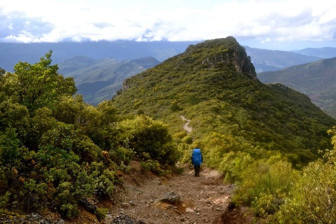 3-Day Trekking from Chefchaouen – Rif Mountains Adventure - Day 3: Akchour’s waterfalls and mint tea