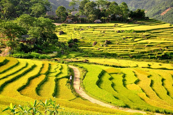 3-Day Trekking In Pu Luong Nature Reserve Private Tour - What the homestays add, and what they may not provide