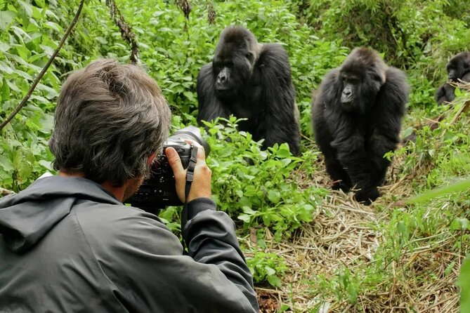 3 Day Uganda Gorilla Trekking and Batwa Pygmies Experience - Is $1,860 good value?