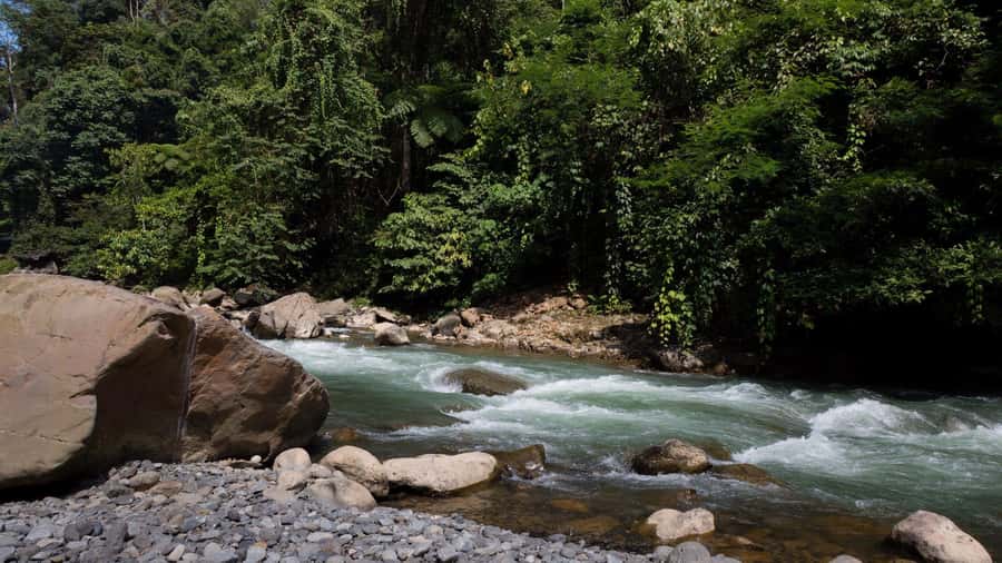 3 Days 2 Nights Orangutan Trek Bukit Lawang - The riverside camp and a night of rainforest sounds