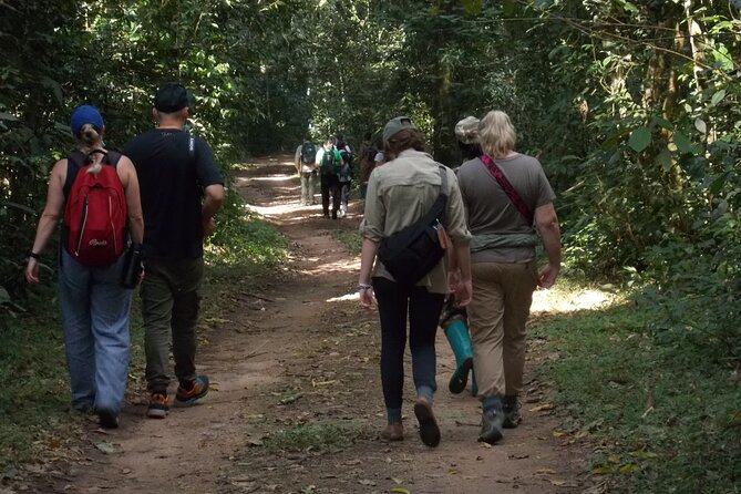 3 Days Bwindi Gorilla Trekking tour - Why this three-day Uganda trip works