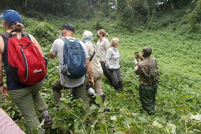 3 Days Bwindi Gorilla Trekking tour - Day 3: Returning toward Kampala and Entebbe
