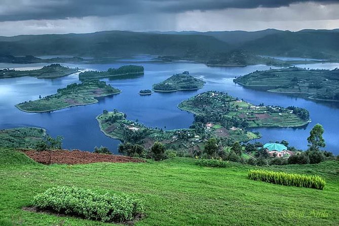 3 Days Bwindi Gorilla Trekking tour - The gorilla trek: expect forest, slopes, and patience