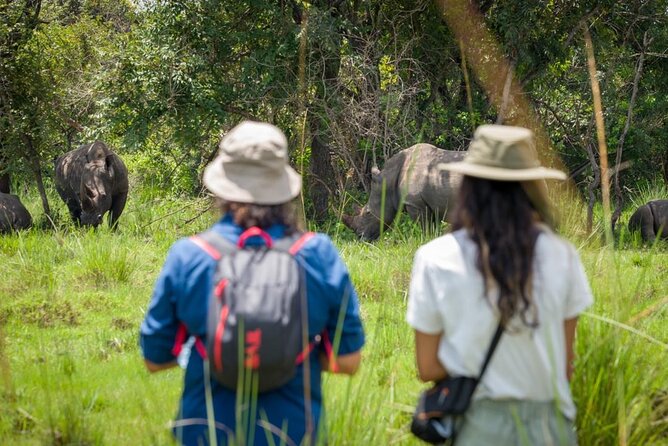 3 Days gorilla trekking Safari tour in Uganda - Day 2: The gorilla trek in Bwindi